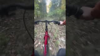 MTB Trail in woods mtb trails fyp [upl. by Ayot]