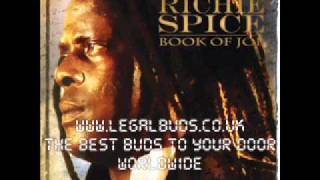 Confirmation  Richie Spice  Book Of Job  2011 NEW REGGAE ALBUM [upl. by Caspar506]