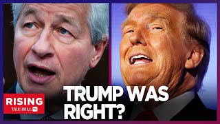 JPMorganChases Jamie Dimon to Dems GROW UP amp LISTEN To Trump Supporters DJT WAS RIGHT [upl. by Nemzaj723]