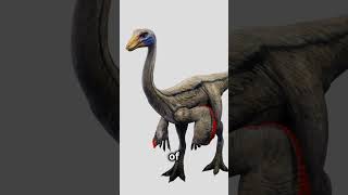 Ornithomimus The Bird Mimic Dinosaur shorts colorado 🇺🇸 science dinosaur facts paleontology [upl. by Freeborn]