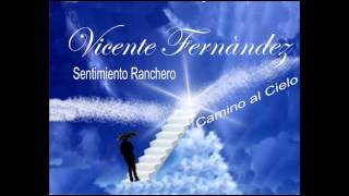 VICENTE FERNANDEZ Camino al Cielo [upl. by Pate105]