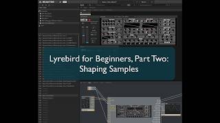 Lyrebird for Beginners Part Two Sample Shaping [upl. by Arnoldo916]