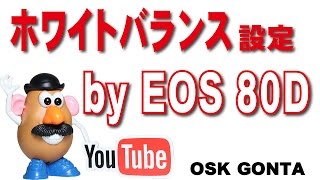 EOS 80D ホワイトバランス設定 [upl. by Ellehctim]