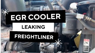 EGR cooler leaks from this Freightliner Cascadia how to tell your EGR cooler is bad [upl. by Pollock]