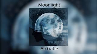 Ali Gatie  Moonlight Lyrics Prod Adriano [upl. by Naut]