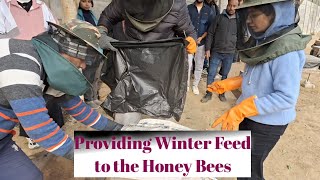 Providing Pollen Substitute for Winter Feeding to the Honey Bees  School of Agriculture  LPU [upl. by Negah380]