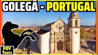 Golegã The Horse Capital of Portugal🐴 [upl. by Yung670]