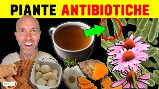 15 PIANTE che sono ANTIBIOTICI NATURALI [upl. by Ikaz]