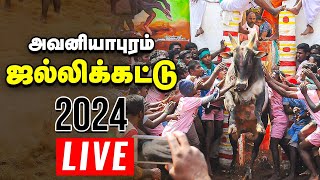 🔴அனல் பறக்கும் அவனியாபுரம் ஜல்லிக்கட்டின் LAST ROUND  Avaniyapuram Jallikattu Live 2024 [upl. by Racso]