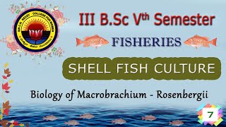 7 III BSc 5th Sem  FISHERIES  SHELL FISH CULTURE  Biology of Macrobrachium  Rosenbergii [upl. by Suirrad445]