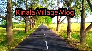 kinala village vlog 🔥 [upl. by Reeve]