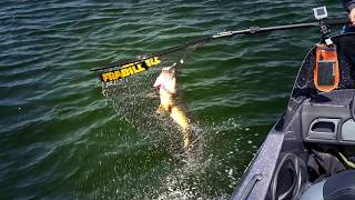 Fishing HUGE Crappies on the Chippewa Flowage in Wisconsin [upl. by Goldwin]