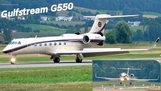 Gulfstream G550 OKVPI Landing at Bern [upl. by Oznol]