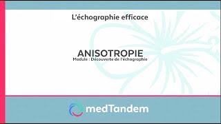 Anisotropie  Découverte de léchographie en médecine générale [upl. by Fleeta]