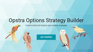 How to use Opstra options strategy builder for stock options analysis Free options trading software [upl. by Schroer340]