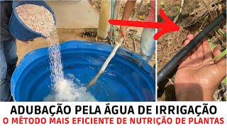 Adubação pela água de irrigação  o método mais eficiente de nutrição de plantas [upl. by Kcirted547]