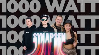 SYNAPSEN 1000 WATT  PAZOO x ANSTANDSLOS amp DURCHGEKNALLT [upl. by Sinoda]