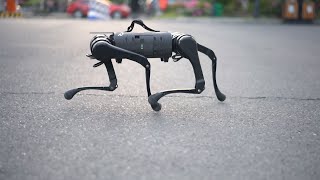 Unitree A1 Robot Dog Is 2x Faster Than Boston Dynamics Spot [upl. by Arahc]