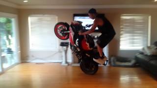 Motorcycle stunter does wheelies in his house [upl. by Pauiie]