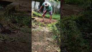 mbS Grass Remove by Shoveling shovel grass youtubeshorts viralshort trendingshorts shorts [upl. by Annodahs]