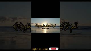 Recite of sura Fajar with beautiful voice [upl. by Atnauqahs]