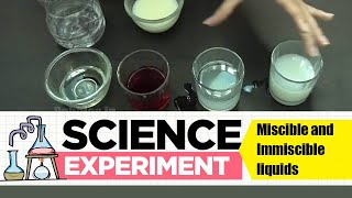 Experiment on Miscible and immiscible liquids  Science Experiment 1  Easy Chemistry Experiments [upl. by Hsuk133]