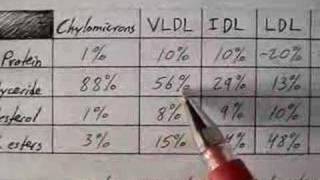 Lipoprotein Physiology Overview 14 [upl. by Eiramnwad673]