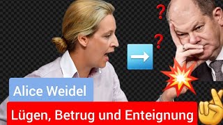 💔quotLügen Betrug und Enteignung Warum Deutschland zum Opfer seiner eigenen Regierung wirdquot 💥 AfD [upl. by Tedmund]