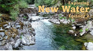 Fly Fishing The Western Cascades Of Oregon for Rainbow Trout EuroNymphing [upl. by Nyrret]