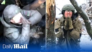 Russian troops surrender to Ukrainian drones in rare footage from the frontlines [upl. by Crowell]