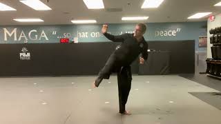 Kenpo Kata 2  Jr First Degree Black Belt Form hendersonvillma [upl. by Seldon]