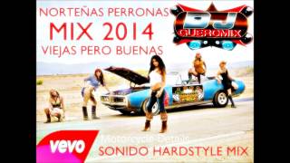 NORTEÑAS MAS PERRONAS MIX 2014 DJ GUERO MIX [upl. by Basset]