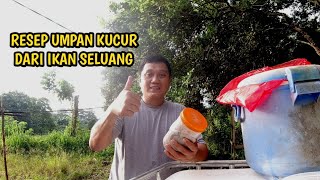 UMPAN KUCUR SELUANG CARA MEMBUAT KUCUR UMPAN IKAN BAUNG [upl. by Aleit]