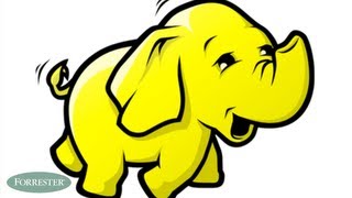 What Is Hadoop [upl. by Aikaj369]