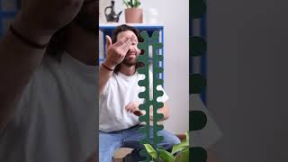 How to fix a monstera stem plants monstera houseplants [upl. by Darsey]