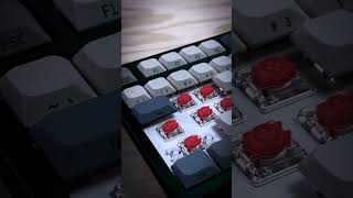 XVX L75 Pro LowProfile Keyboard Sound Test  XVX Winter Fog Keycaps [upl. by Kcajyllib]