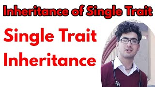 Inheritance of single trait class 12Inheritance of single trait in hindiMonohybrid cross in hindi [upl. by Happy]