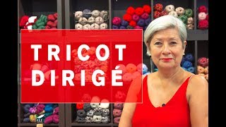 Tricot Dirigé [upl. by Aseena]