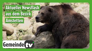 Ferienspiele Tierpark und der Eventtipp aus dem Bezirk Amstetten [upl. by Nefets]