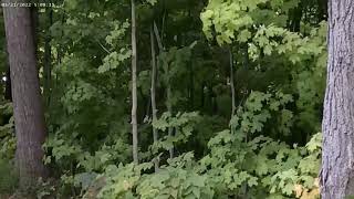 Concord Woods Nature Park Concord Ohio [upl. by Nolyak789]