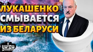 СКАНДАЛ Лукашенко смывается из Беларуси Китай ввел войска  Мартынова [upl. by Daigle]