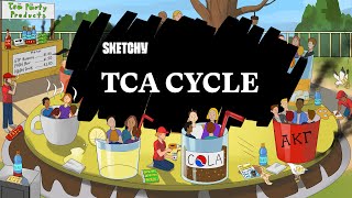 Learn the TCA Cycle Full Lesson  Sketchy MCAT  Biochemistry [upl. by Tompkins]