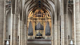 J S Bach Ricercar a 6 from the Musical Offering BWV 1079 Silbermann Organ Freiberg Balint Karosi [upl. by Ylatfen]