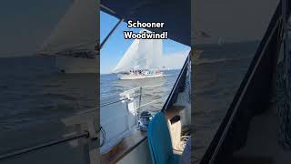 Its Schooner Woodwind out for a sail on Labor Day chesapeakebay annapolis sailing schooner [upl. by Annairam]