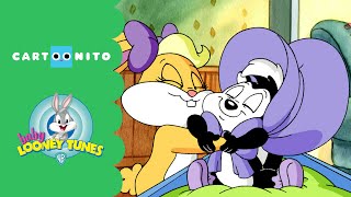 Baby Looney Tunes  Jealous Sylvester  Cartoonito [upl. by Nanda713]