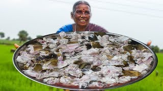 Sardinella Lemuru Dried Fish With Tomato DriedElaFish Recipe [upl. by Yelak]