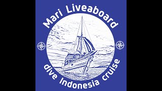 Mari Liveaboard divecruiseexplore Indonesia 720 [upl. by Anerol]