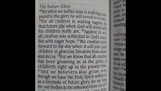 Romans 8 1822 NLT future glory [upl. by Skippy]