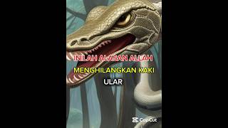 Mengerikan Inilah alasan Allah menghilang kan kaki ular dakwah kisah nasihatdiri facts [upl. by Crispin954]