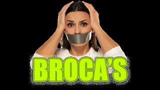 The Astonishing Truth About Brocas Aphasia  3 min ⏰ Neuropsychology [upl. by Alyssa712]